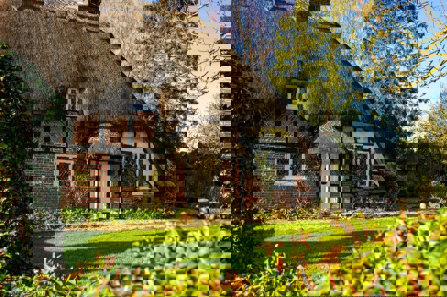 Mangopear Creative Ft6wsewzvgc Unsplash