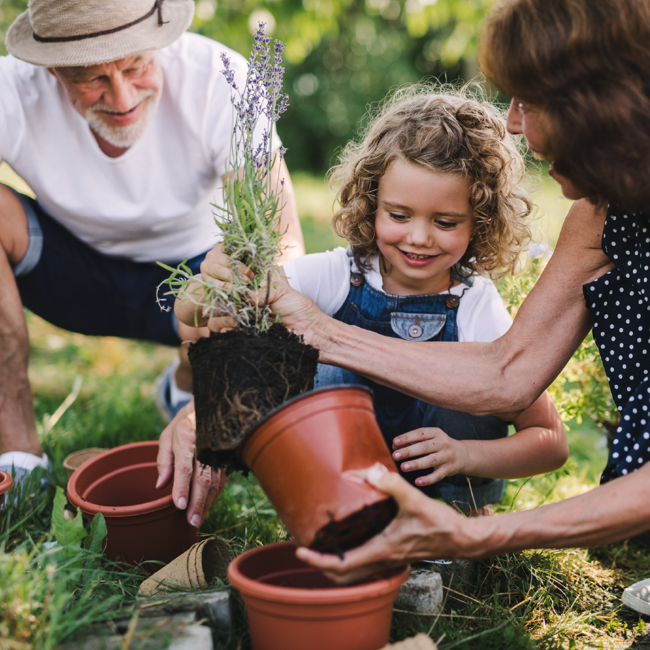 Wealth Transfer Blog 1080Px