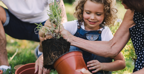 Wealth Transfer Blog 1080Px