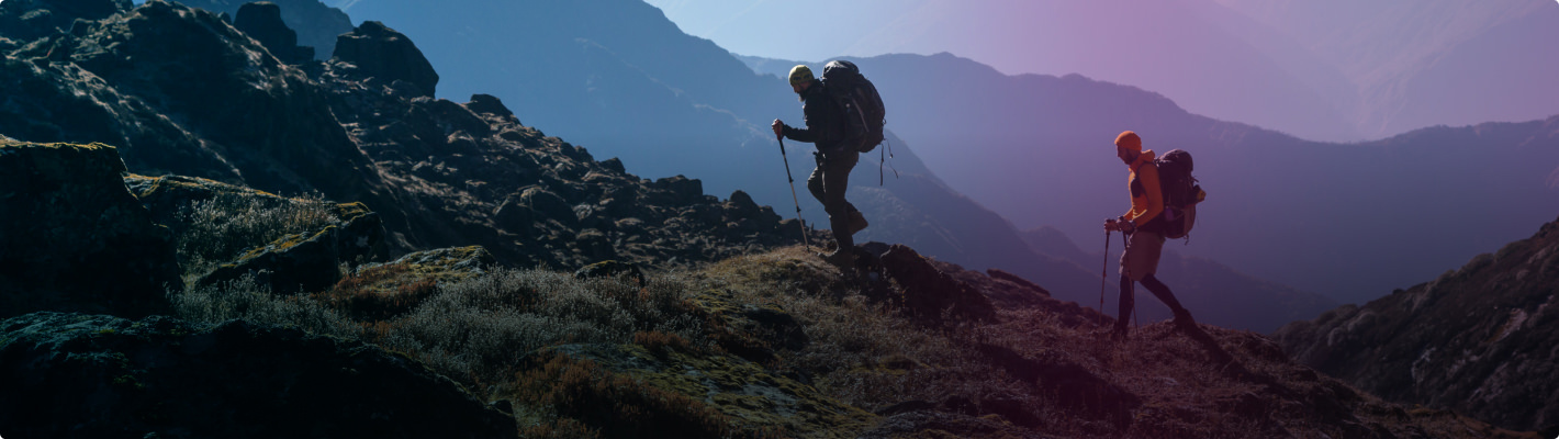 Image Advised Investment Service