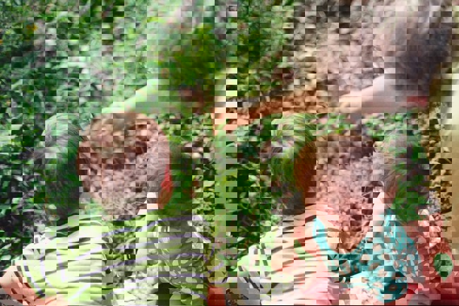 withdrawing from a SIPP