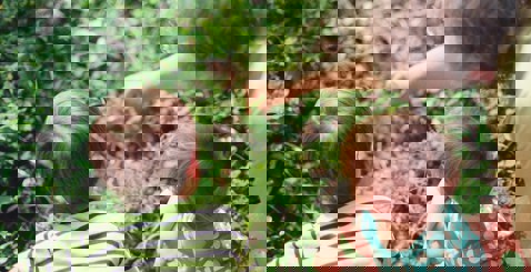 withdrawing from a SIPP