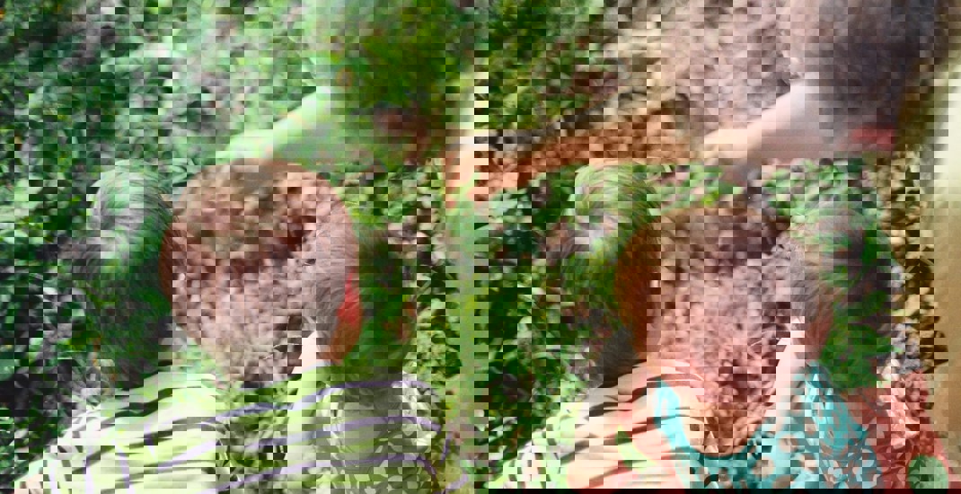 withdrawing from a SIPP