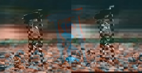 Aron Visuals Bxoxnq26b7o Unsplash