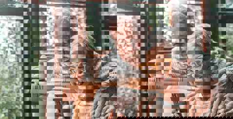 Adobestock 466163418 Min