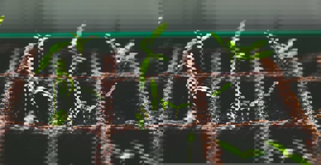 How to plan your finances effectively for the new tax year